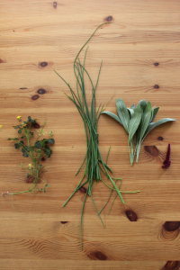 From left, foraged wood sorrel, chives, sage and quinoa flowers, all of which Umansky used to garnish his dish.